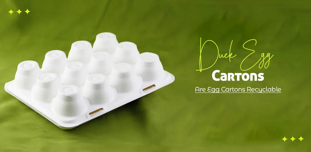 Duck Egg Cartons: Are Egg Cartons Recyclable?